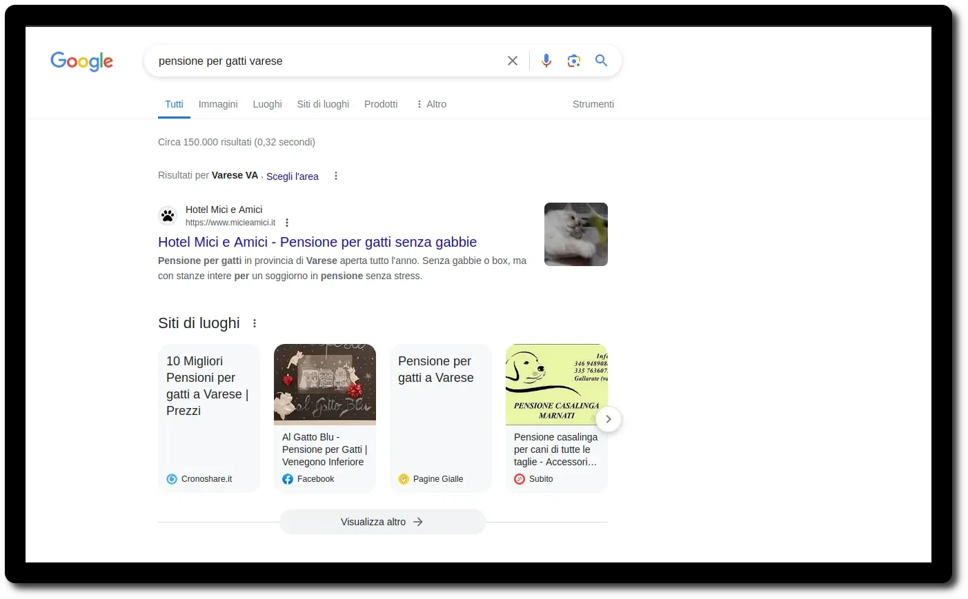 google query pensione per gatti varese