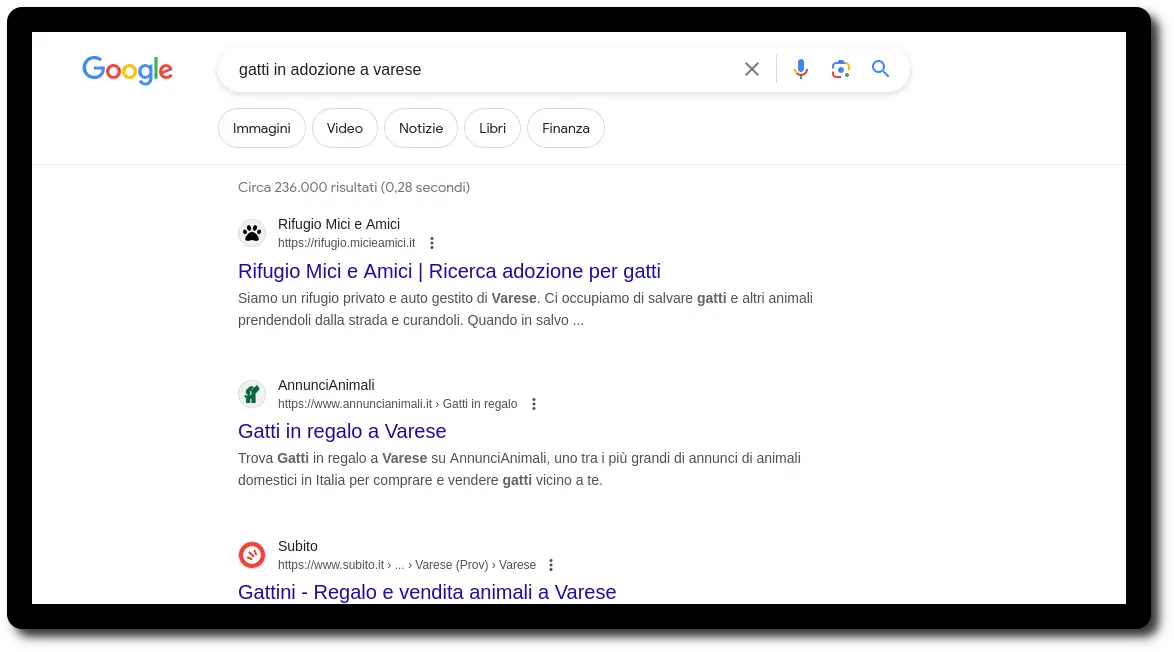google query gatti in adozione varese