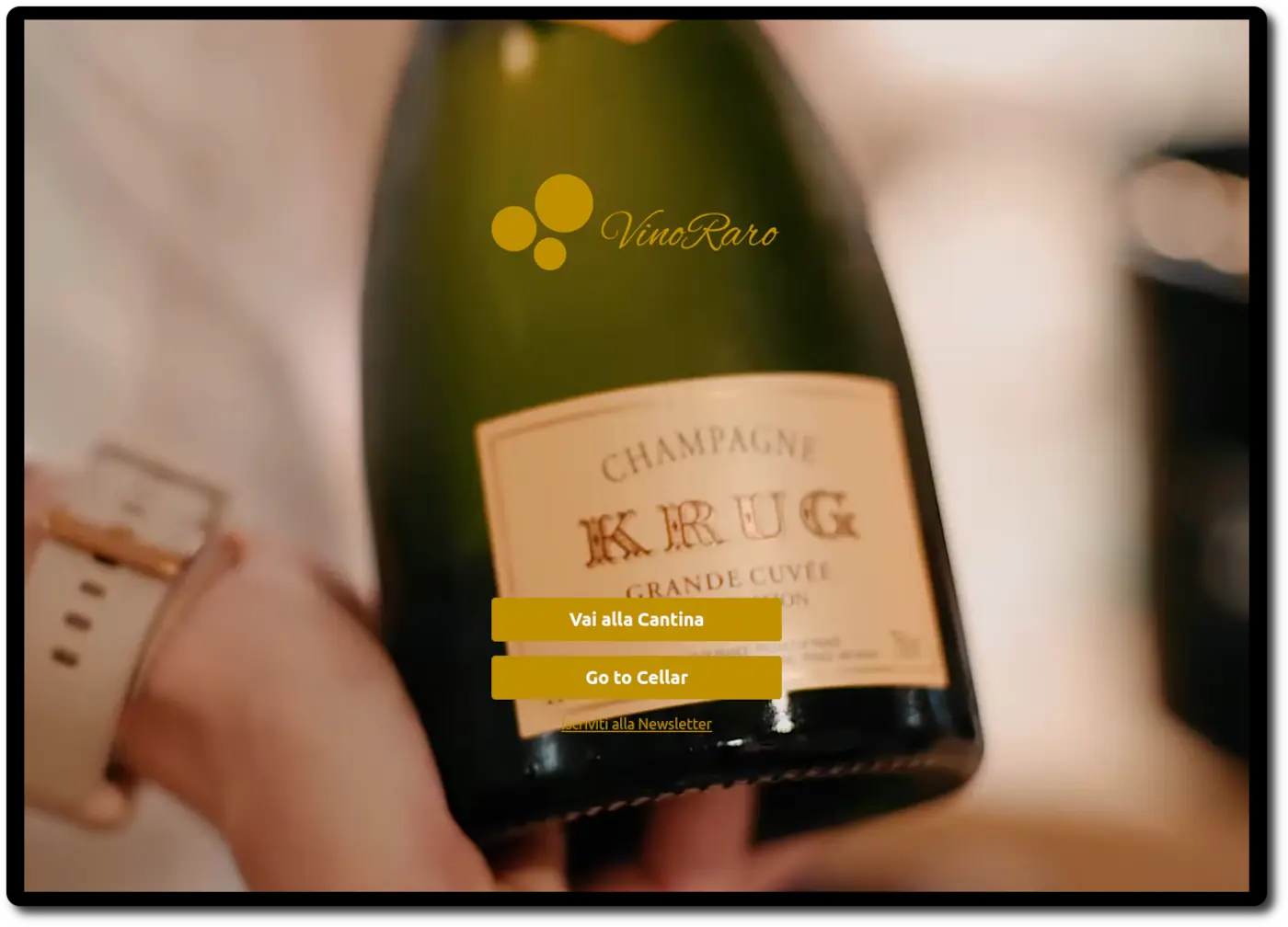 homepage screenshot vino raro